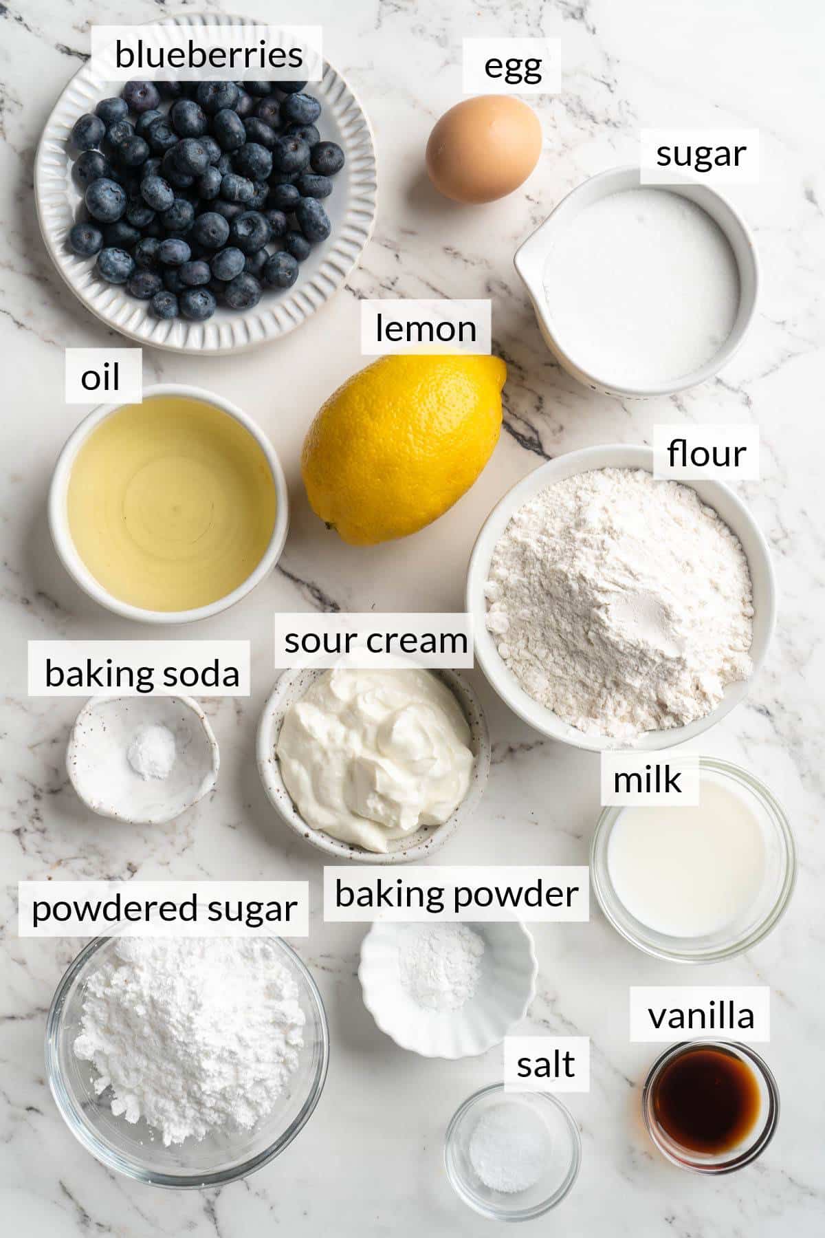 Small bowls filled with blueberries, an egg, milk, sugar, oil and vanilla.