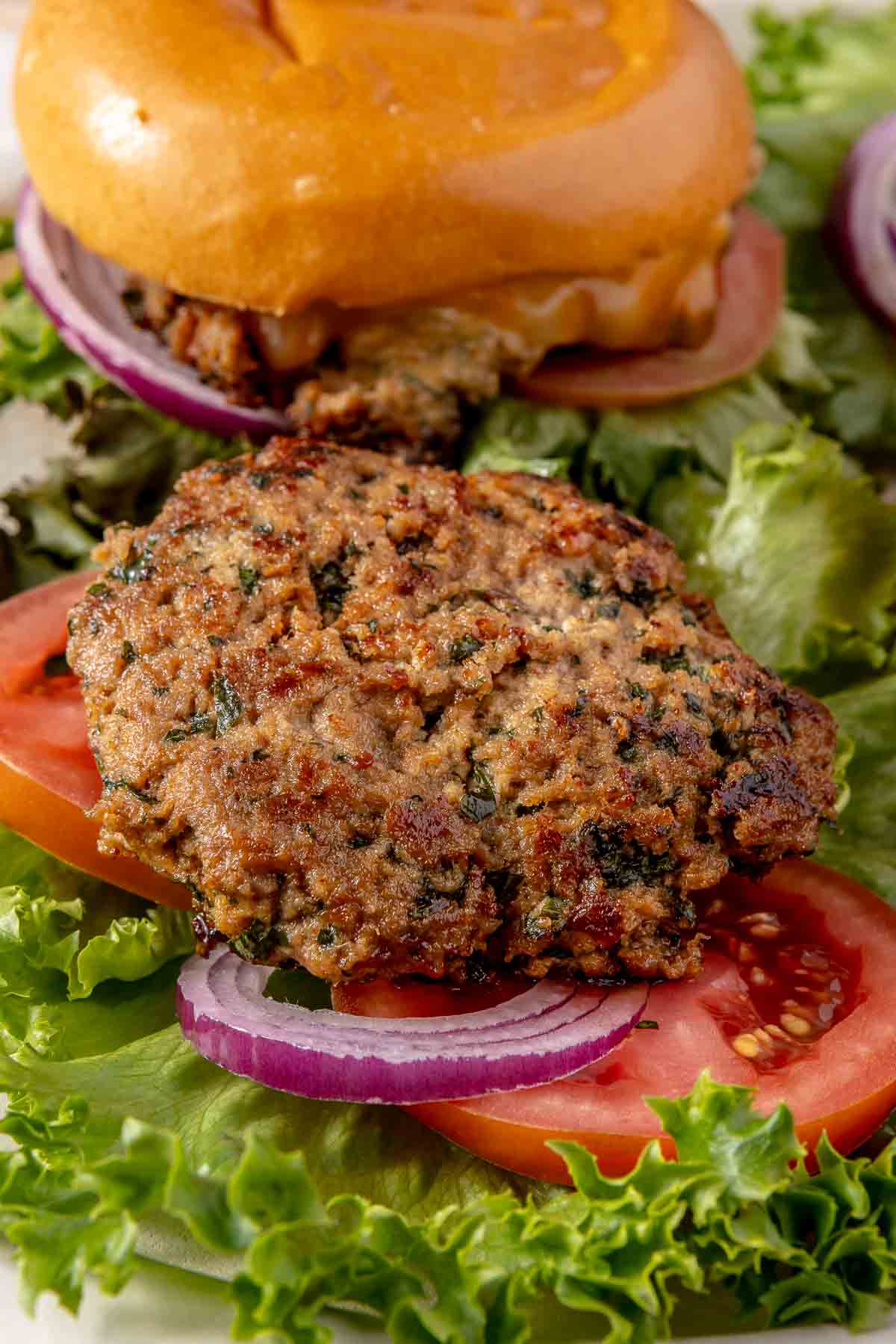 Turkey burger on a red onion, sliced tomato and lettuce.