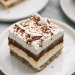 Serving of chocolate delight dessert on a white plate.