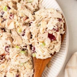 Serving healthy chicken salad with a wooden spoon out of a white bowl.