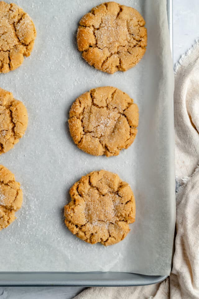 baked peanut butter cookies on a baking sheet pan