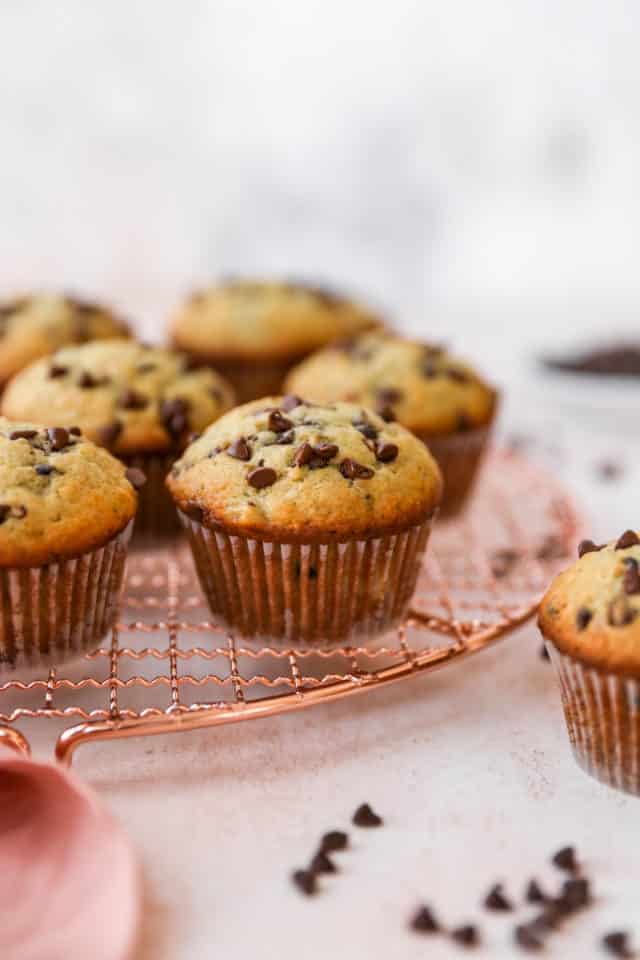 large muffin topped with mini chocolate chips