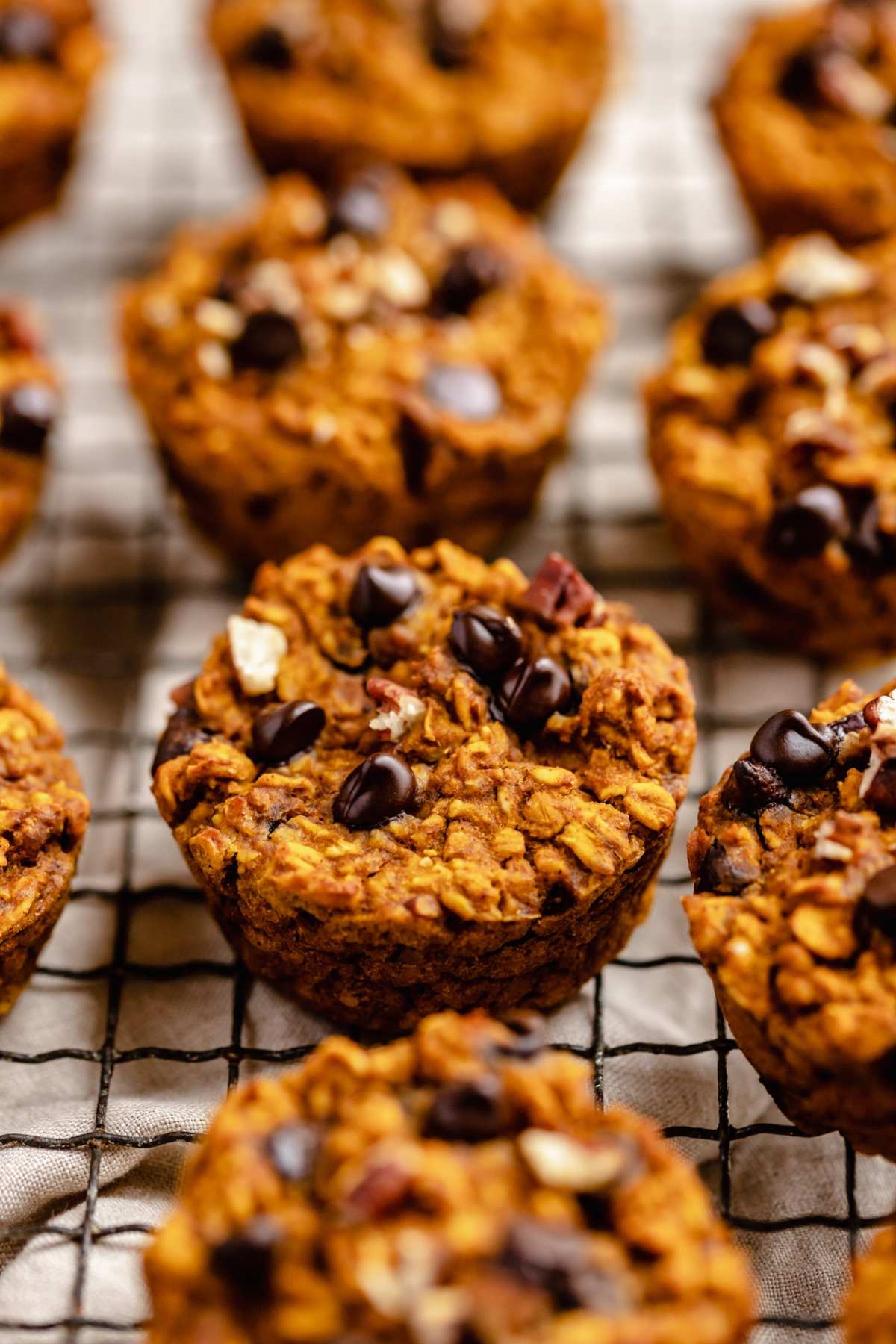 Pumpkin muffin with chocolate chips on a wire cooling rack.