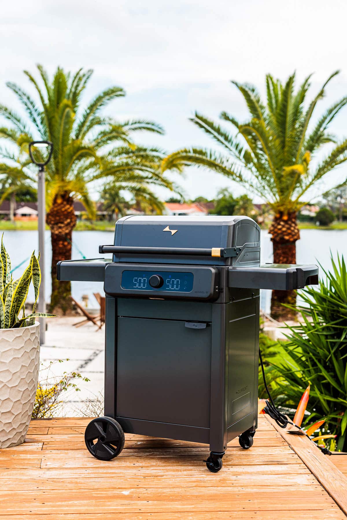 Outside grill near palm trees with a lake in background.